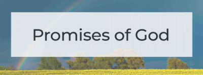 Bible Truth blog image - Old Testament Promises are they relevant today?