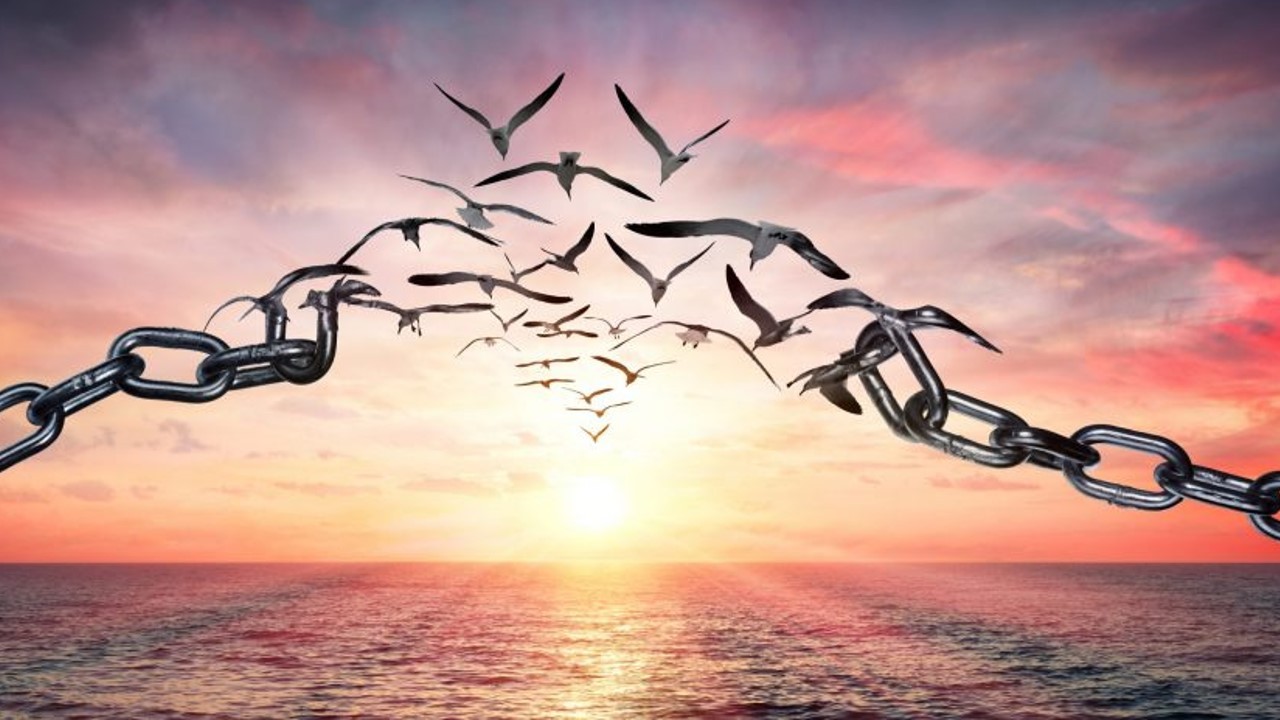 Header banner image
