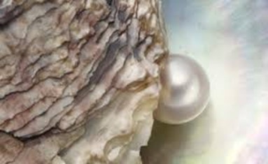 Bible Truth blog image - Parable of the Pearl of Great Price