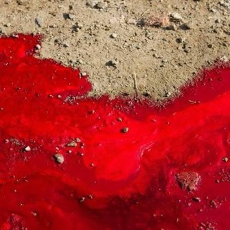 Bible Truth blog image - The Blood is the Life