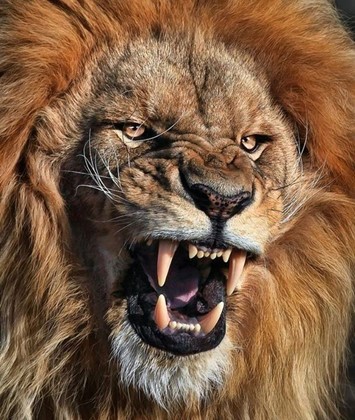 Bible Truth blog image - As a Roaring Lion