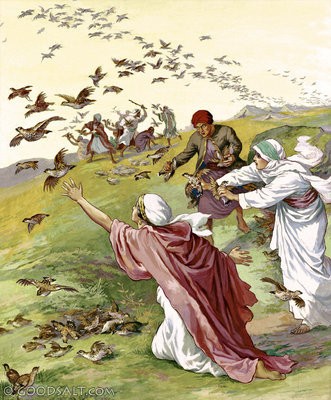 Bible Truth blog image - Seventy Elders and Quail (Numbers 11)