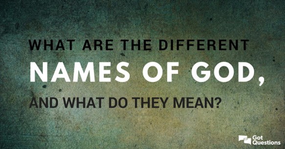 Header banner image